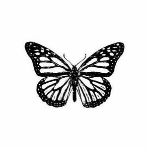 Meet your Posher, Kylee